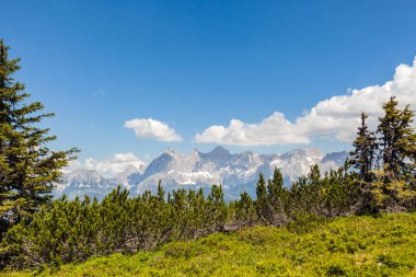 Dağ silsilesi Dachstein Reiteralm üzerinden panoramik landscpae doğal görünümünü