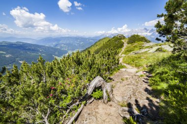 İz Reiteralm dağdan Gasselhoehe ve dağ Dachstein hiking