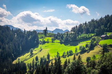 Church Cerkev Sveti Duh with mountain range Kamnik Savinja Alp clipart