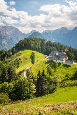 Slovenya 'daki Kamnik Savinja Alpleri' ndeki çiftlik manzarası