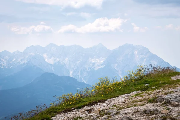 Vista desde la montaña Hochobir con flores a Kamnik Savinja Alp — Foto de Stock