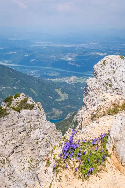 Hochobir Montaña con flores al valle Rosental, lago Freibach Stausee — Foto de Stock