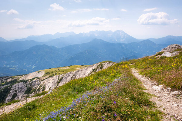 Mountain Hochobir with hiking path and flowers, Kamnik Savinja Alps