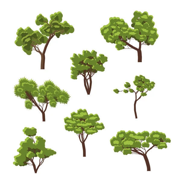 Collection of images of green deciduous trees. — Stock Vector