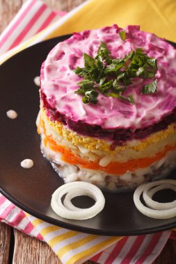 salata ringa kürk ceket yakın çekim altında katmanlı. dikey