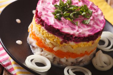 Lezzetli ringa balığı salatası sebze ve mayonez portre. Hori