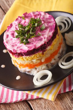 Geleneksel Rus salatası ringa balığı kürk ceket yakın çekim altında. ver