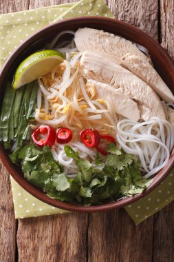 Vietnamca Pho Ga tavuk ve pirinç noodle yakın çekim ile çorba. v