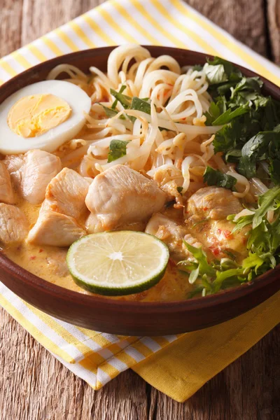 Zuppa asiatica spessa con pollo, uova, tagliatelle di riso, germogli di fagioli c — Foto Stock