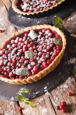 Fırından yeni çıkmış pudra şekeri ve yakın nane ile kızılcık tart-