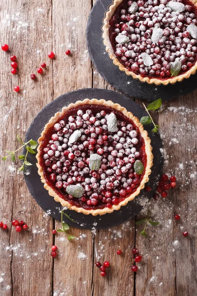 Freshly baked cranberry tart with powdered sugar and mint close- — Stock Photo, Image