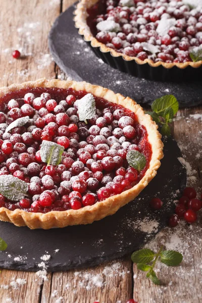 Pudra şekeri ve nane yakın çekim ile lezzetli kızılcık tart. Vert