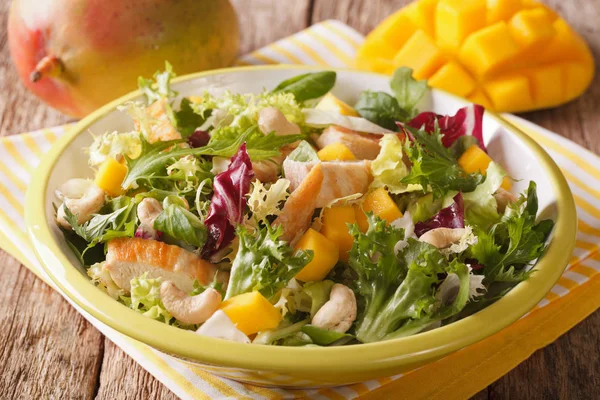 Vitamine salade met kipfilet, mango, rucola, sla, spin — Stockfoto