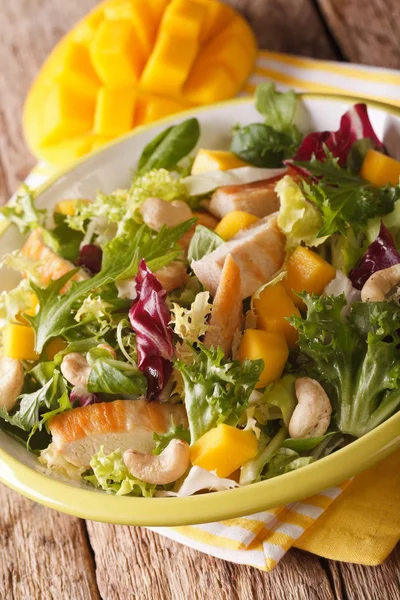 Salad with grilled chicken, mango, arugula, lettuce, spinach and — Stock Photo, Image