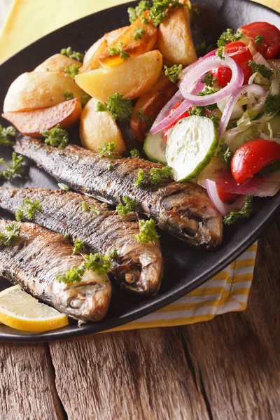 Fried sardines with potatoes and fresh vegetable salad close-up. — Stock Photo, Image