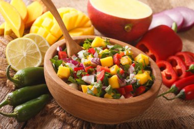 Mango, biber, jalapeno, kişniş ve soğan ile lezzetli salsa
