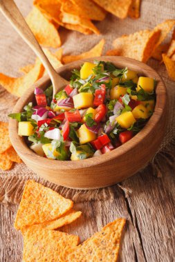 Mango, biber, kişniş ve soğan closeup ile Meksika salsa bir