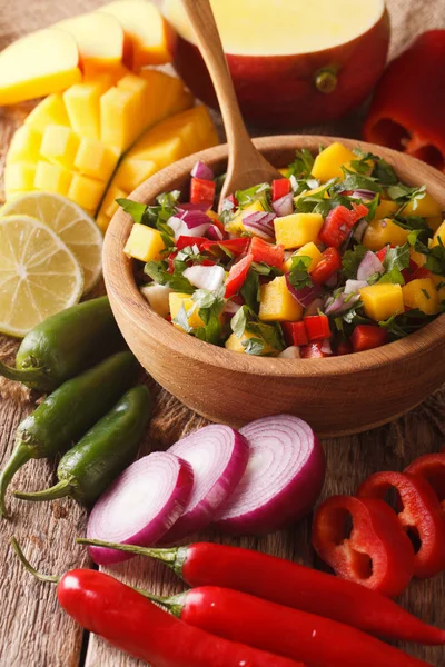 Mexikanische Salsa mit Mango, Pfeffer, Jalapeño, Koriander und Zwiebeln — Stockfoto