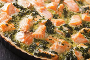 Taze pişmiş somon ve ıspanak makro ile Savory kiş. Yatay