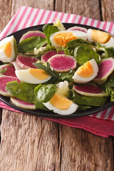 Gezonde salade met radijs, eieren, spinazie en sla mix sluiten — Stockfoto