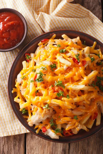 Spicy french fries with cheddar cheese, chili pepper and chicken — Stock Photo, Image