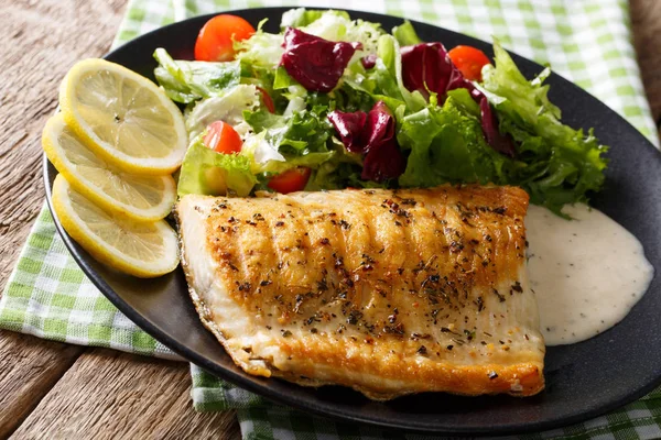 Gegrilde Arctic char vissen met mix-salade en saus close-up. Hori — Stockfoto