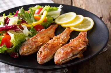 Lezzetli balık tekir ile taze sebze salatası kapat-u mix