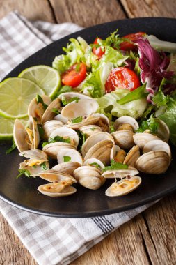 Kireç ve Yeşiller ve karışımı salata yakın çekim ile taze istiridye. vertica