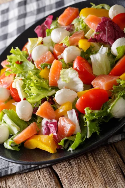 Lahodný salát s lososem, mozzarella sýr a zelenina cl — Stock fotografie