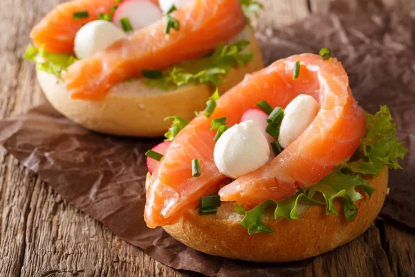 Sandwiches with salted salmon, mozzarella, frisee, onion and rad — Stock Photo, Image