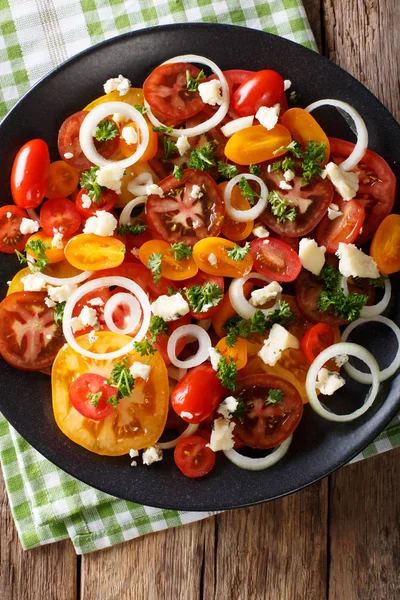 Vitamin salad from multi-colored tomatoes, onions and blue chees — Stock Photo, Image