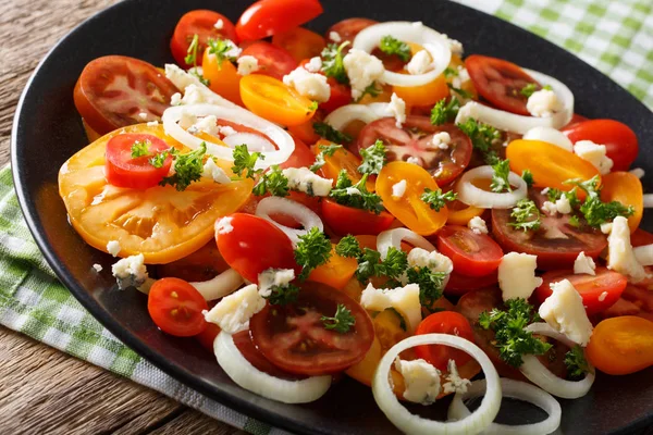 Salad of colorful tomatoes, onion and blue cheese close-up. hori — Stock Photo, Image