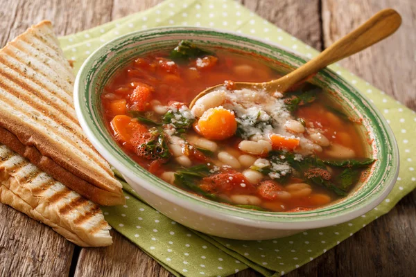 Італійський суп з біла квасоля, помідори, шпинат, морква і ПА — стокове фото