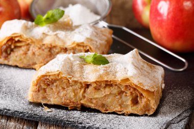 Austrian food: apple strudel with powdered sugar and mint macro  clipart