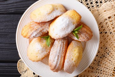 Madeleine's biscuit with powdered sugar and mint closeup on a pl clipart
