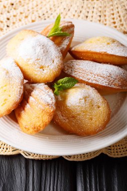 Nane ve pudra şekeri clos bir kabuk şeklinde kurabiye