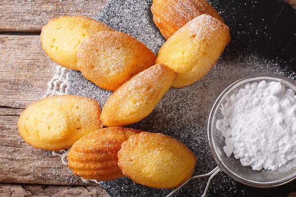 Freshly baked Madeleine cookies sprinkled with sugar powder clos — Stock Photo, Image