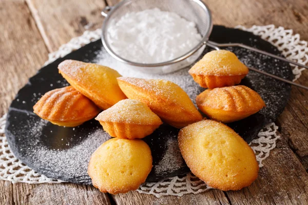 Classic biscuits madeleines with powdered sugar close-up on the — Stock Photo, Image
