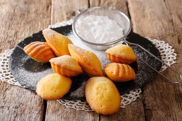 Homemade Madeleine cookies with sugar powder close-up. horizonta — Stock Photo, Image