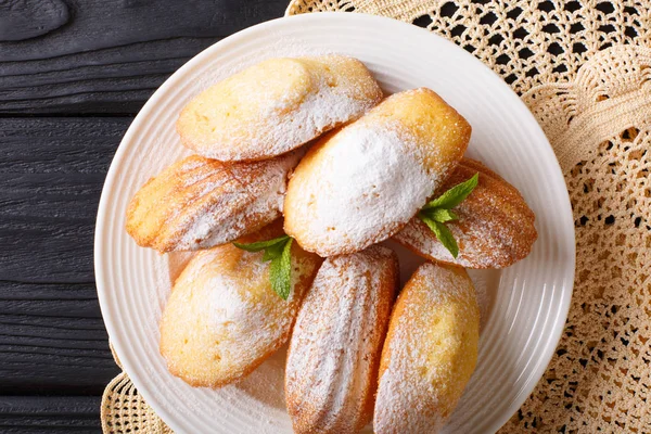 Madeleine koekjes met poedersuiker en mint close-up op een pla — Stockfoto