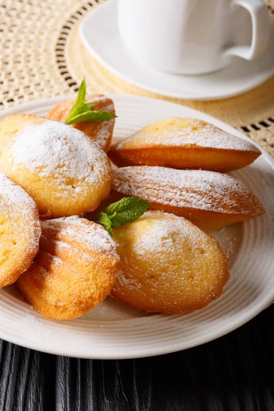 Micul dejun francez: prăjituri Madeleine cu mentă și cafea close-u — Fotografie, imagine de stoc
