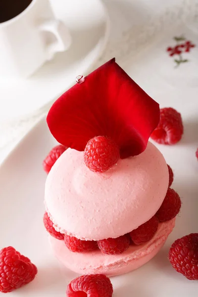 Gourmet macaroon with fresh raspberries and flower petals macro — Stock Photo, Image