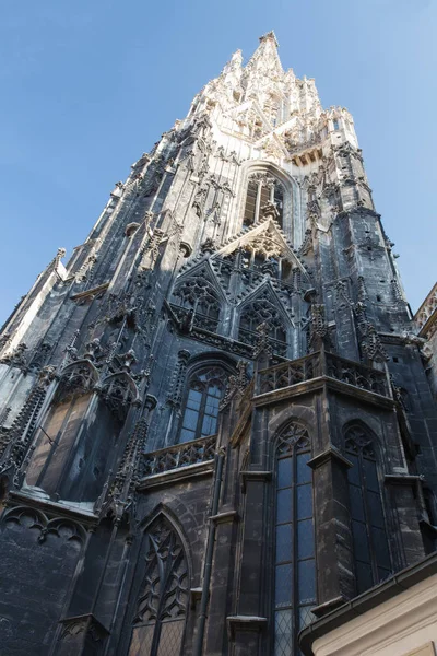 De kathedraal van St. Stephen's is de moederkerk van de Roman Cathol — Stockfoto