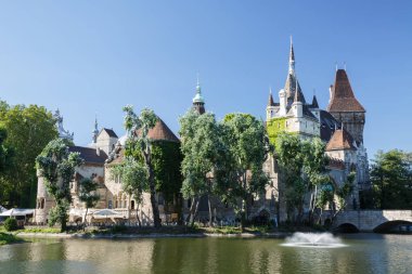 Vajdahunyad Castle ağaçlarıyla çevrili güzel manzarasına ve