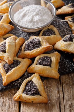 Bir tablo üzerinde haşhaş yakın çekim ile Yahudi şenlikli çerez. dikey