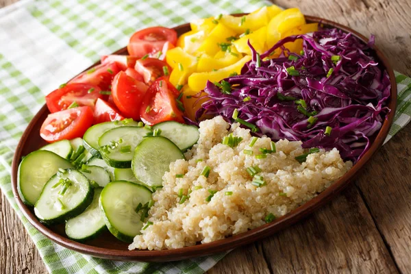 Salade colorée avec légumes frais et quinoa à proximité. horizo — Photo