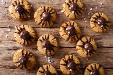 Cadılar Bayramı için Festival çikolata örümcek kurabiyeler. Yatay üst v