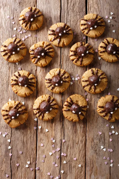 Cadılar Bayramı için Festival çikolata örümcek kurabiyeler. Dikey üst vie