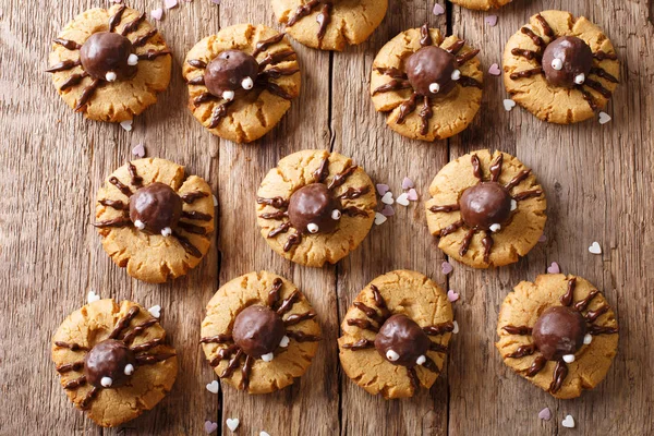 ハロウィーン クッキー チョコレートくもクローズ アップ、木造と ta — ストック写真