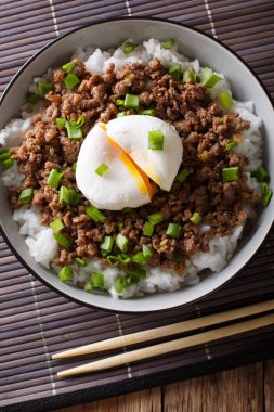 Sığır Soboro haşlanmış yumurta, pirinç ve yeşil soğan yakın çekim. ver